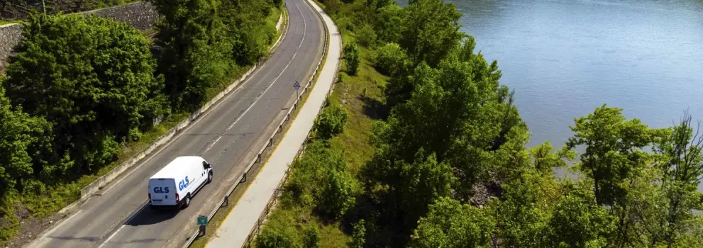 masina electrica in natura